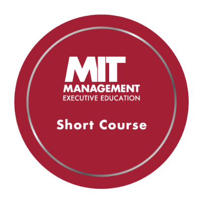 MIT Sloan AI Strategy Certificate